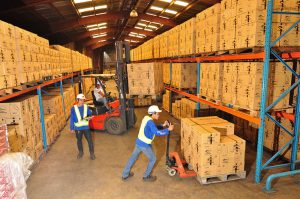 Phoenix Fuels Caloocan Warehouse