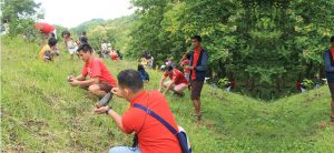 Phoenix Fuels PH - Tree Planting