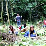 Phoenix Petroleum 8,000 plants trees in Davao